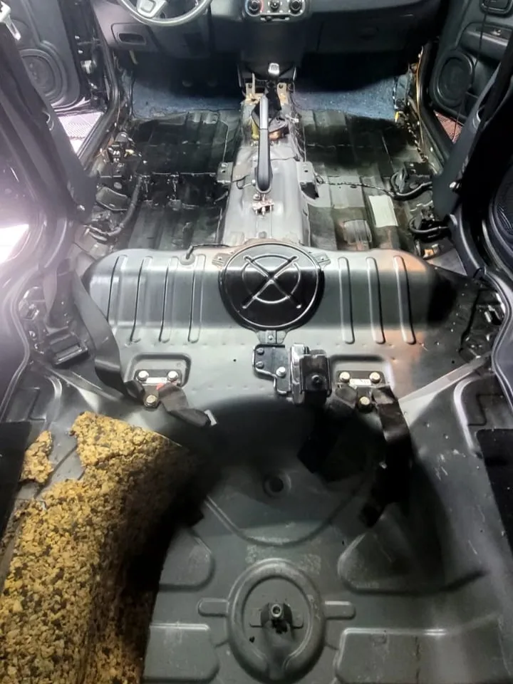 Higienização Interna — detalhe 1