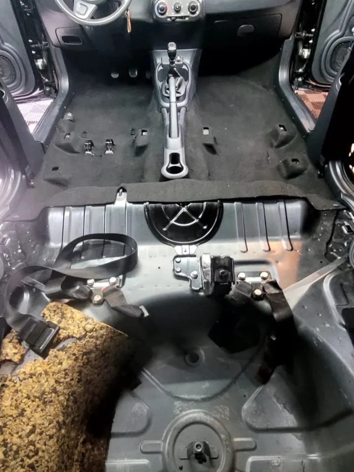 Higienização Interna — detalhe 4